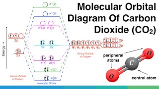 Molecular Orbital Diagram of Polyatomic CO2 Molecules  Chemical Bonding amp Molecular Structures [upl. by Glick597]