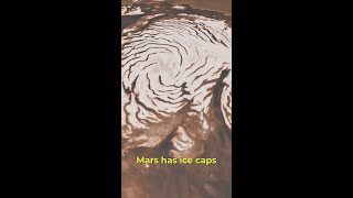 Mars Has Ice Ice Baby  Fact of the Week [upl. by Yesnek]