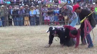 JARIPEO DE NIÑOS PARA REIRNOS UN POCO FEBRERO 2016 PAYASO TOSTACHO GABACHO [upl. by Katherina766]