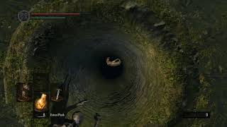 Dark Souls Secret Shortcut In Firelink Shrine [upl. by Garlaand329]