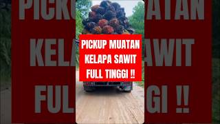 Harga Kelapa sawit nya Tinggi Muatan harus lebih tinggi [upl. by Gwendolyn]