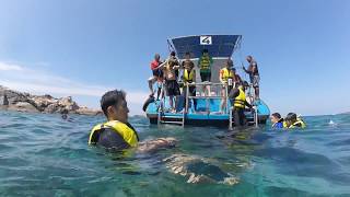 Pulau Redang Snorkeling [upl. by Ocicnarf]