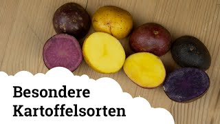 Kartoffel  5 besondere Sorten die ihr vielleicht noch nicht kennt 😃🥔 [upl. by Seward]