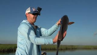 The redfish were EVERYWHERE in the marsh [upl. by Hayes903]