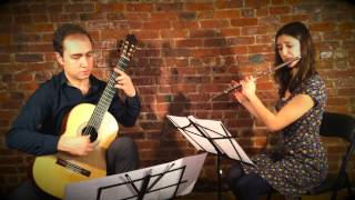 Ständchen from quotSchwanengesangquot by Franz Schubert performed by Redbrick Duo [upl. by Drahsar]