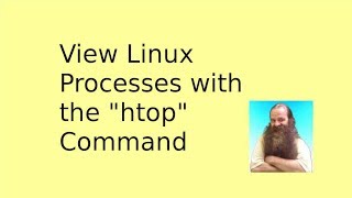 View Linux Processes with htop [upl. by Assirialc]