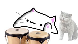 bongo cat meets NEDM [upl. by Dannye631]