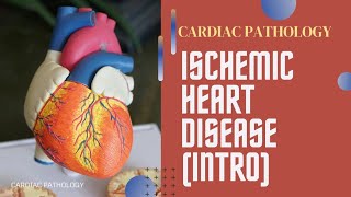 CARDIAC PATHOLOGY Ischemic Heart Disease Introduction lecture 1 [upl. by Kalvin499]