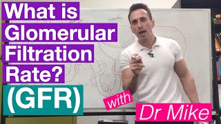 Glomerular Filtration Rate GFR  Renal System [upl. by Tsirhc]