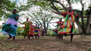 Olfala Malekula Kastom Dance [upl. by Sturdivant]