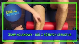 Ocena stawu kolanowego  objawy bólowe z różnych struktur 99 FizjoTerapia HD [upl. by Thesda747]