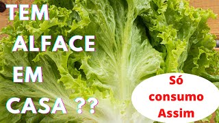 🟢 DUAS DICAS DE SALADAS COM ALFACE super fácil Dicas Para Seu Dia a dia [upl. by Sanjiv]