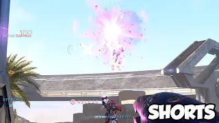 You cant Grappleshot your way out of a Needler 😉  Halo Infinite shorts [upl. by Riatsila775]