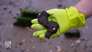 NJ promises clean up of leadtainted debris on Keyport beach [upl. by Cony]