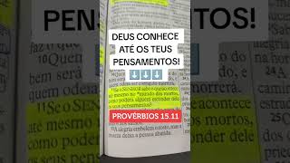 Provérbios 1511 [upl. by Adora687]