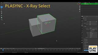 X Ray Select Add On [upl. by Ierdna728]