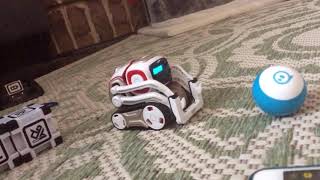 Cozmo meets Sphero [upl. by Talyah]