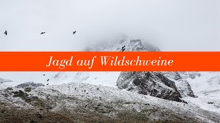 Jagd auf Wildschweine [upl. by Assirol]