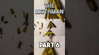 The Mothman part 6 shorts [upl. by Ahsyekal105]