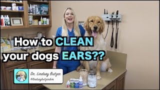 How to Clean Your Dogs Ears  Zymox Ear Products [upl. by Ahsaetan]