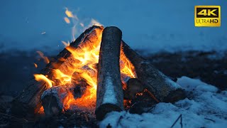 🔥 A Crackling Campfire During a Windy Winter Night 10 HOURS 50FPS 🔥 Cozy Fireplace 4K for Sleeping [upl. by Dorolice]