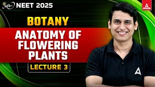 Anatomy of Flowering Plants Class 11 Complete Biology for NEET  Neet2025 Preparation  L 3 [upl. by Llertnov656]