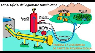 Probando bomba que no necesita energía en pequeña escala para instalar una mayor en la finca [upl. by Estes]