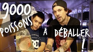 9000 POISSONS DAQUARIUM À DÉBALLER  VLOG TOOPET [upl. by Conners811]