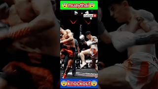 how to spinning back kick muaythai fight backkick muaythay martialarts sports edit fyp shorts [upl. by Oetsira144]