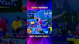 Marc Pingris Greatest Plays P1 🔥 2006 Purefoods Vs Red Bull [upl. by Pisano178]