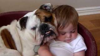 Bulldog and baby video [upl. by Johannes]