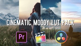 FREE Cinematic Moody LUTs V2  FCPX Premiere Pro Da Vinci  2022 [upl. by Reifel494]