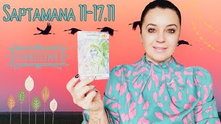 SĂPTĂMÂNA🧿111711🧿PREVIZIUNI TAROT UN PORTAL MAGIC CARE SCHIMBĂ DESTINE TU EȘTI ACTORUL PRINCIPAL [upl. by Acima554]