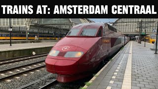 Trains at Amsterdam Centraal  InterCity ICE Eurostar Sprinter and Engineering trains 260524 [upl. by Otti]