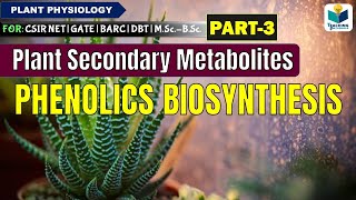 PLANTS SECONDARY METABOLITESPART3  PHENOLICS BIOSYNTHESIS CSIR NET [upl. by Kciderf805]