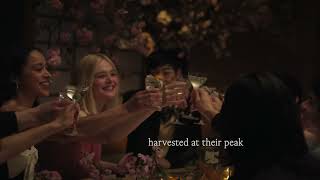 Discover Roku Gin with Elle Fanning  The House of Suntory [upl. by Aisel15]