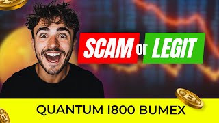 Quantum i800 Bumex Scam🥵Or Legit✅ Review 2024 Revealed By UK amp CA Experts 10x Profit Hacks [upl. by Ettennil823]