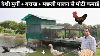 ऐसा अनोखा फॉर्म आपने देखा नहीं होगा  Desi Poultry Farming  Fish Farming  Duck Farming [upl. by Ahsieki]