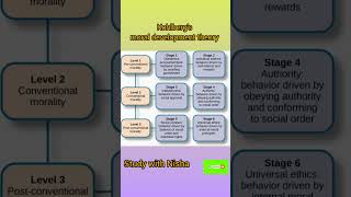 psychology kohlberg moral development theory htetdsssbkvsnvsuptetprtjbt [upl. by Kay]