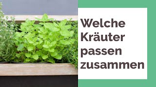 Welche Kräuter passen zusammen 15 Kräuterpaare die sich vertragen [upl. by Guerin]