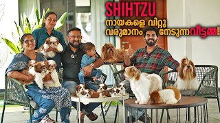 കിടിലം ShihTzu Puppies  Vickies Greeny [upl. by Enybor]