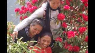 Khaling Rai song  दुधकुण्ड बजार।।। [upl. by Yemaj]