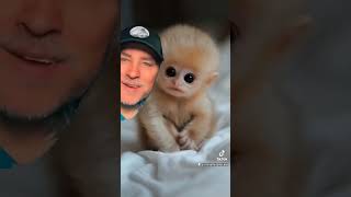 John J Irwin Charlene fbviralreels duet johnjirwin72 monkey fypviral [upl. by Hairabez686]