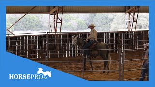 Horse Training Video HORSEprotv Colt StartingRide 1 Tip with Dusty Whitford [upl. by Dorolice]