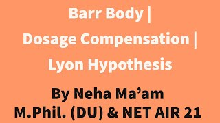 Barr Body  Dosage Compensation  Lyon Hypothesis [upl. by Anaek]