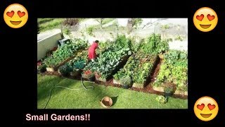 20 Small Garden Ideas on a Budget for Vegetables [upl. by Nnaitsirk447]