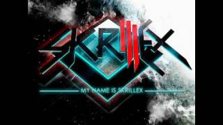 Skrillex  quotDo Da Oliphantquot NEW JUNE 2010 [upl. by Ela]