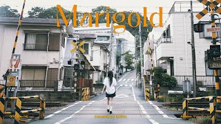 Marigold Covered by GAEUL [upl. by Meeker242]