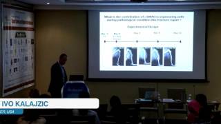 Ivo Kalajzic  USA  Tissue Science and Regenerative Medicine 2015  Conferenceseries LLC [upl. by Etam]