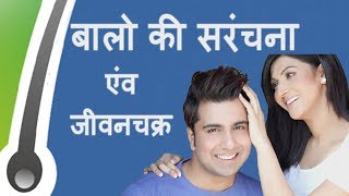 बालो की सरंचना एंव जीवनचक्र Hair Anatomy amp Life Cycle Hindi [upl. by Bywoods]